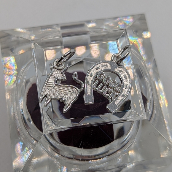 Jewelry - Silver Zodiac and Horseshoe Charms